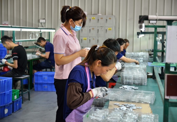 2024澳门原料看图