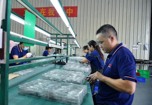 2024澳门原料看图